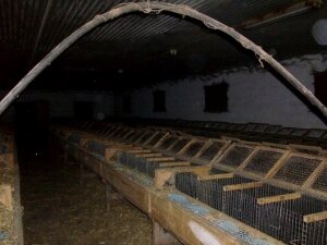 Foto: Länsstyrelsen i Skåne 246