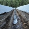 Farm_och_burar_14_800x531.jpg