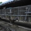 Farm_och_burar_18_800x531.jpg