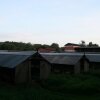 Farm_och_burar_22_800x533.jpg