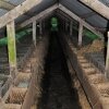 Farm_och_burar_8_399x600.jpg